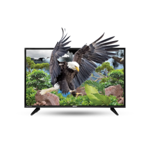Orient LED 32" Eagle