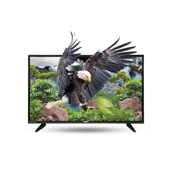 Orient LED 32" Eagle