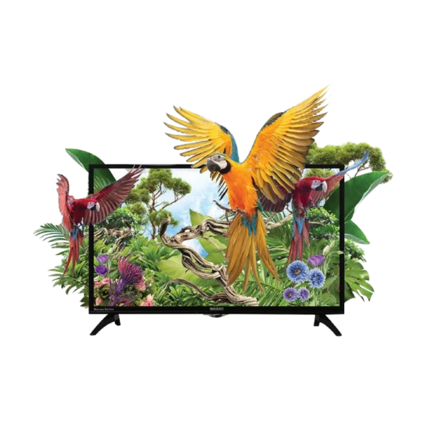 Orient LED 40" MACAW
